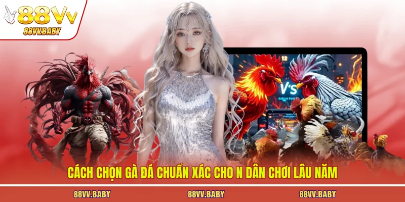 cách chọn gà đá