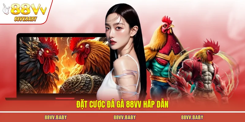 Đặt cược đá gà 88VV hấp dẫn