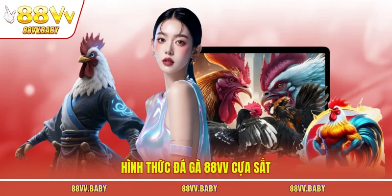 Hình thức đá gà 88VV cựa sắt