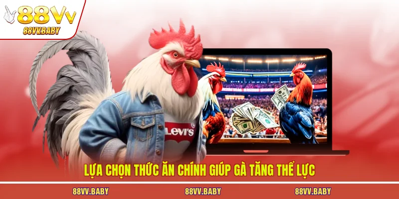 Lựa chọn thức ăn chính giúp gà tăng thể lực