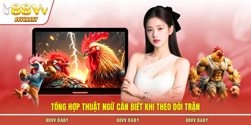 Tổng hợp thuật ngữ cần biết khi theo dõi trận