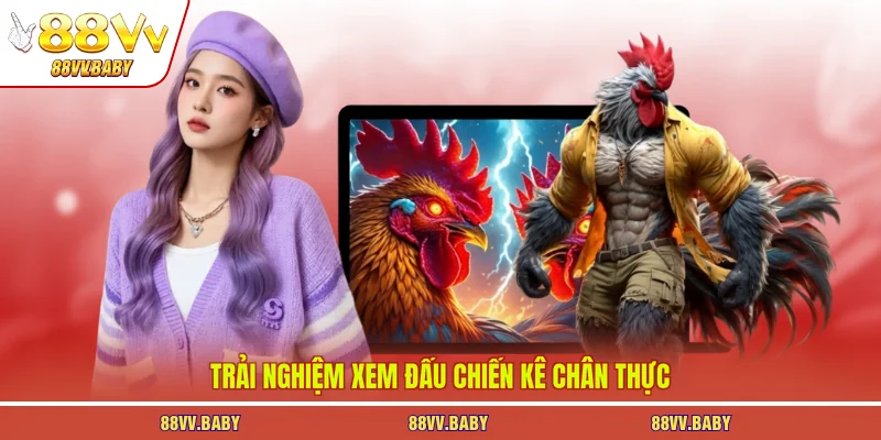 Trải nghiệm xem đấu chiến kê chân thực